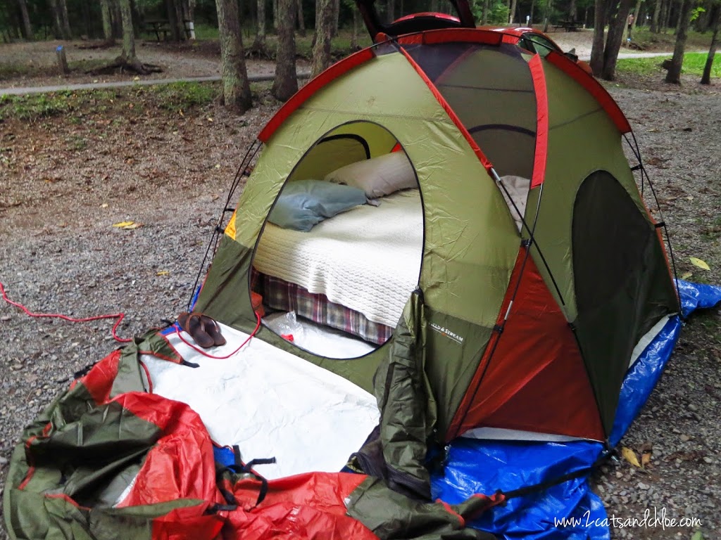 Tent Camping in Grayson Highlands State Park Tent Camping in Grayson Highlands State Park