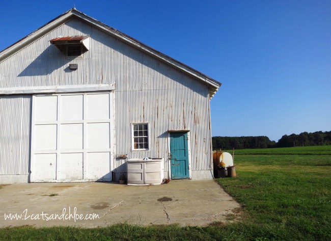 Barn with Teal Door
