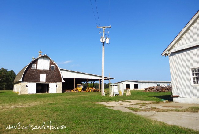 Eastern Shore Barn