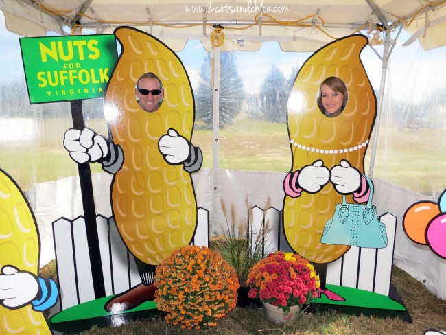 Nuts of Suffolk! Moving to Suffolk