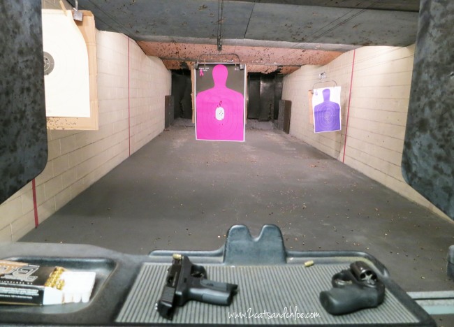 Gun Range with Hot Pink Target