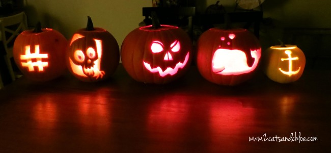 Happy Pumpkins!