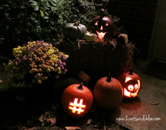 Hipster Pumpkins Hashtag!