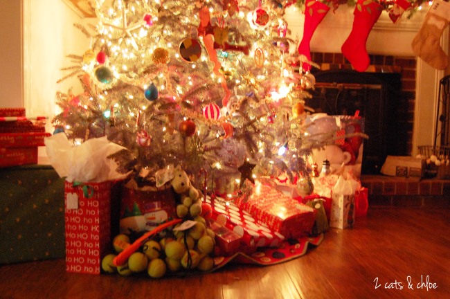 2 cats & chloe: What to get your dog for Christmas