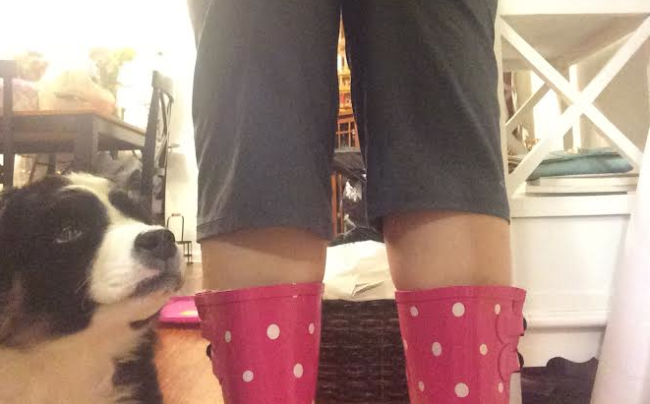 2 cats & chloe: yoga pants and rain boots