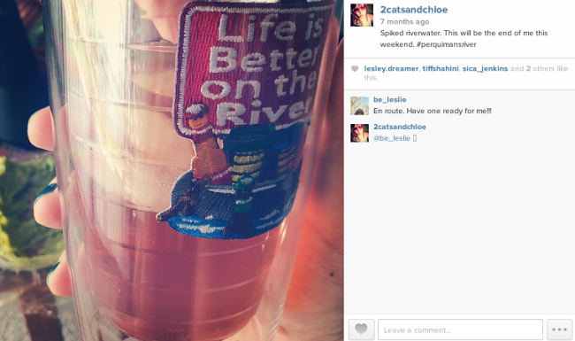 2 cats & chloe: perquimans river