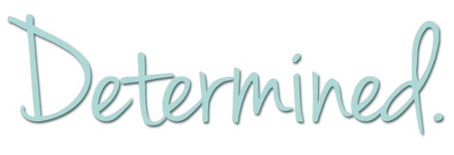 2 cats & chloe: word of the year - Determined