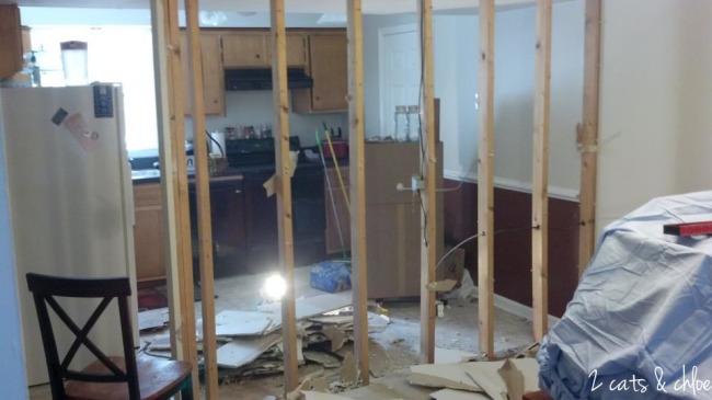 2 cats & chloe: Take down the wall to see the kitchen