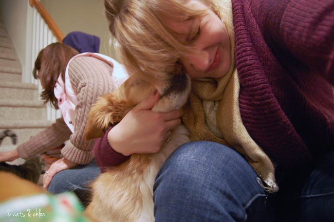 2 cats & chloe: NYE selfies