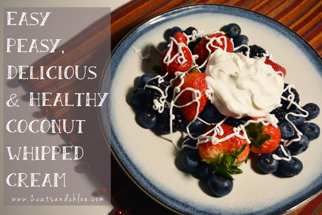 2 cats & chloe: Whole30, Paleo Fruit Dessert