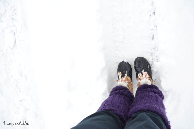 2 cats & chloe: Snow boots  //  purple leg warmers  //  snow day  // hampton roads  //  target finds