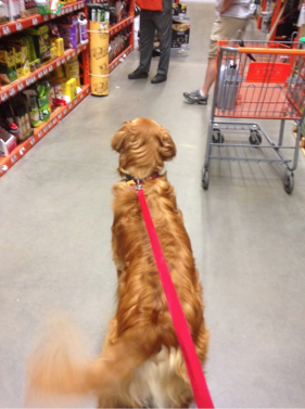 Screen Shot 2015-02-11 at 7.29.51 PM