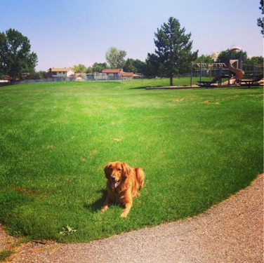 Screen Shot 2015-02-11 at 7.30.00 PM