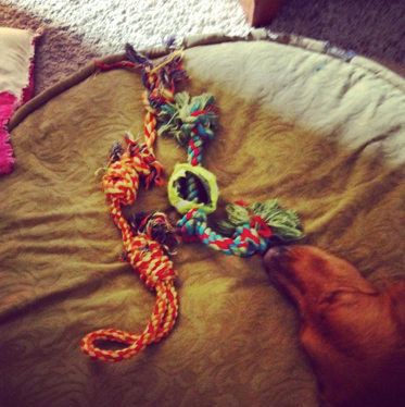 Screen Shot 2015-02-11 at 7.30.08 PM