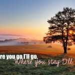 2 cats & chloe: SMS Ruth 1:16 // Sunday Morning Scripture Blog Series