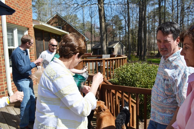 adults hunt for eggs