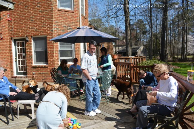 2 cats & chloe: benjaminson family easter egg hunt