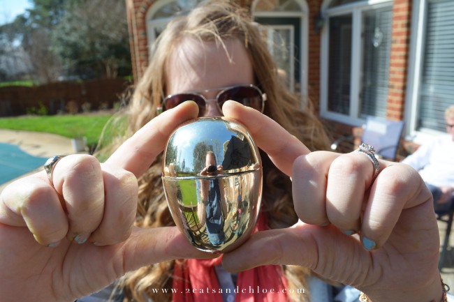 2 cats & chloe: the golden easter egg winner