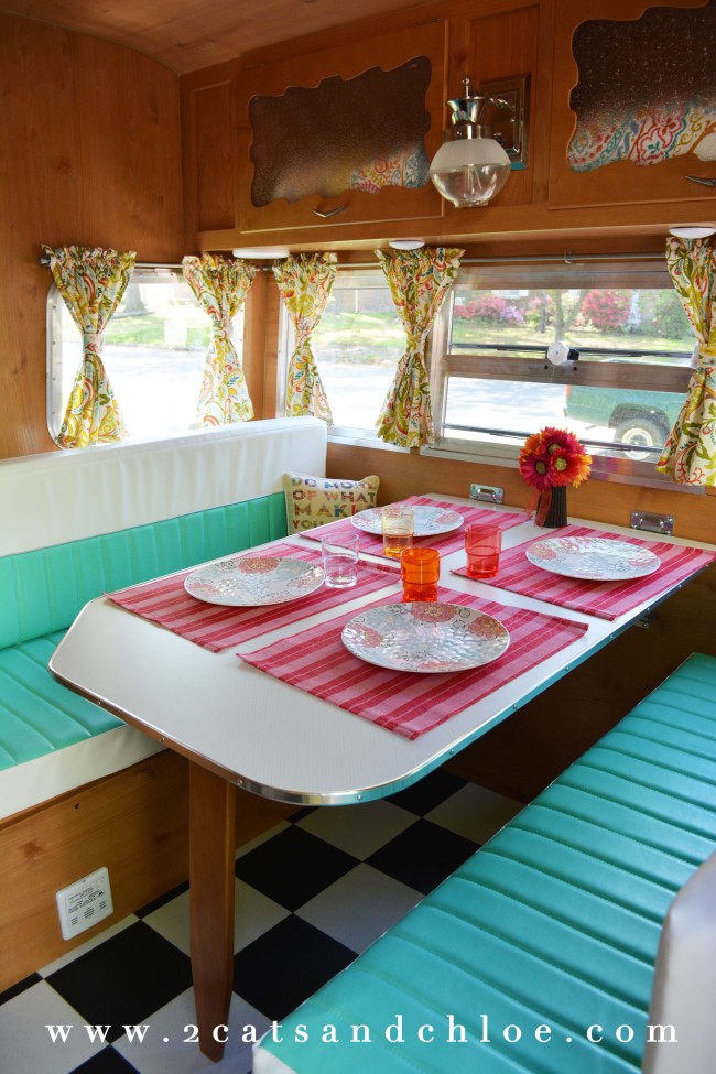 2 cats & chloe: shasta re-issue interior