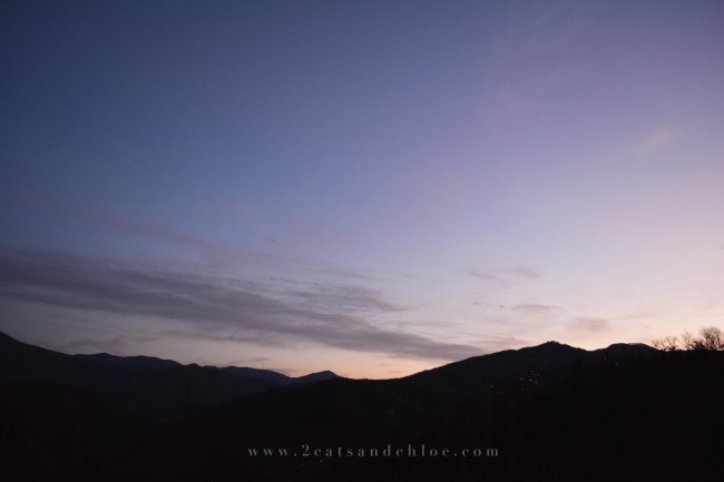 2 cats & chloe:  Gatlinburg, TN Mountains  //  Tennessee Skyline