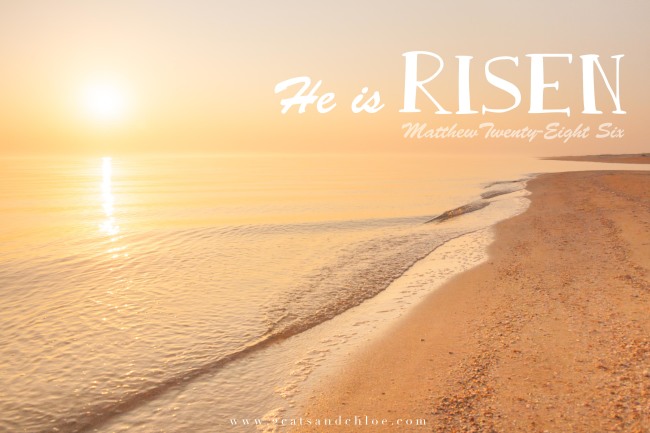 2 cats & chloe: He is Risen Matthew 28:6