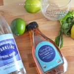 2 cats & chloe: paleo mocktail ingredients