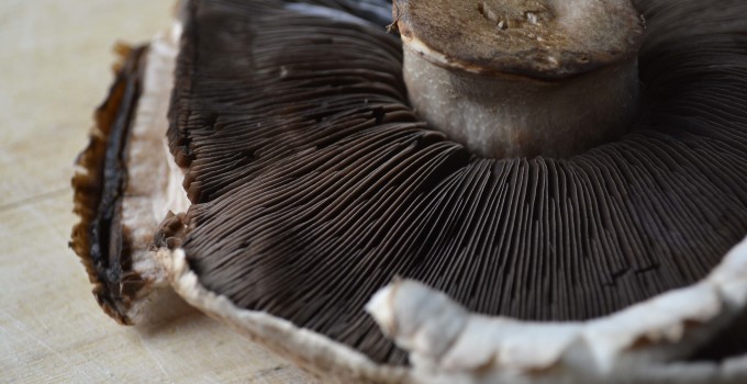 The Soiree: Burger Bar Party + Giveaway