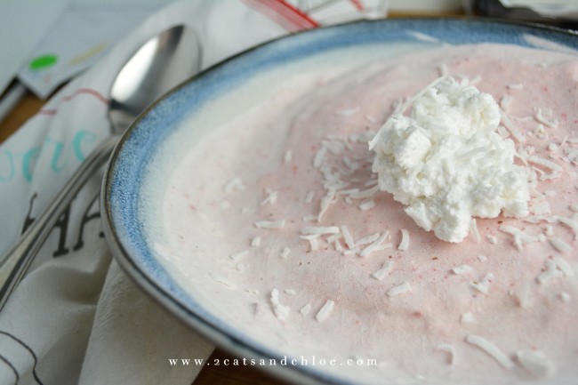 2 cats & chloe: Whole30 SWYPO ice cream