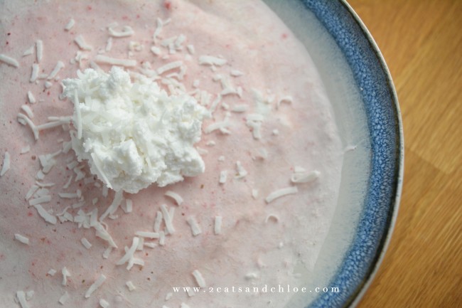 Paleo Coconut Cream Ice Cream
