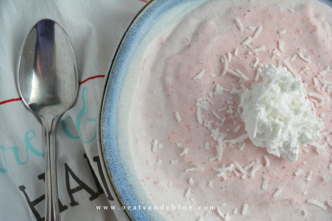 2 cats & chloe: Healthy, Homemade Ice cream