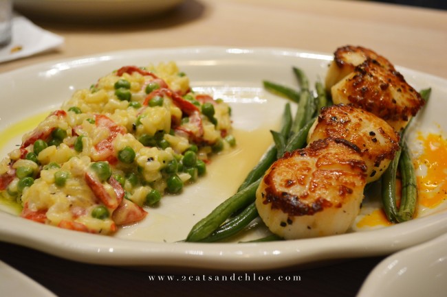 2 cats & chloe: Tupelo Honey Va Beach - Scallops and Risotto