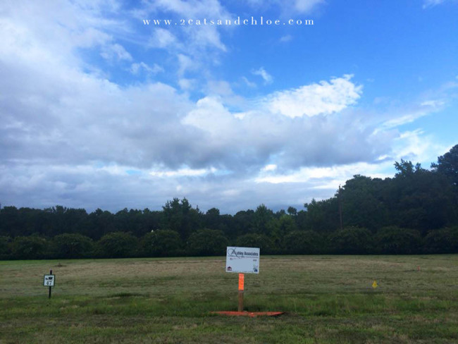 2 cats & chloe: Our Lot Sign