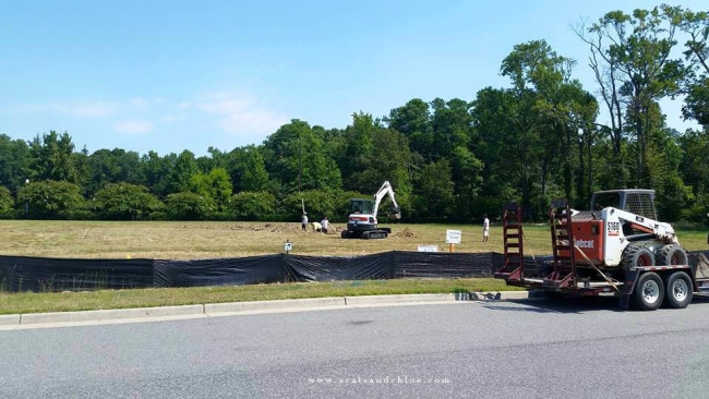 2 cats & chloe: New House + Digging Footing