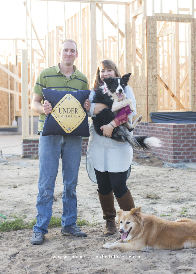 2 cats & chloe: baby announcement under construction