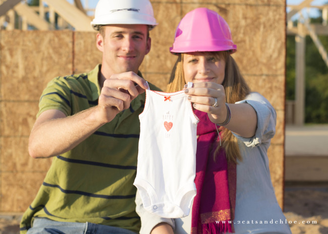 2 cats & chloe: pregnancy announcement with hard hats