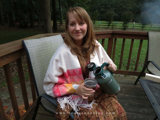 2 cats & chloe: Fall festivities, cider, stanley