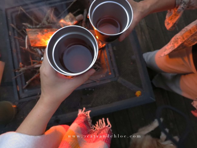 2 cats & chloe: Cheers and Cider!