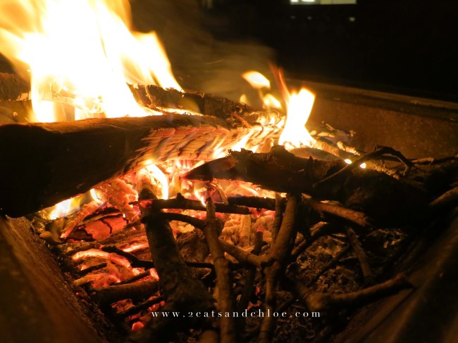 2 cats & chloe: Fall fire pit