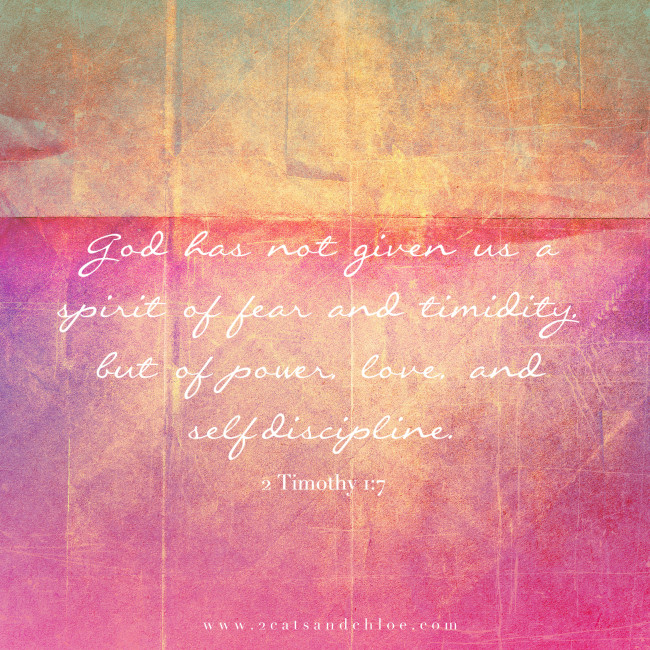 2 cats & chloe: 2 Timothy 1:7 Verse 