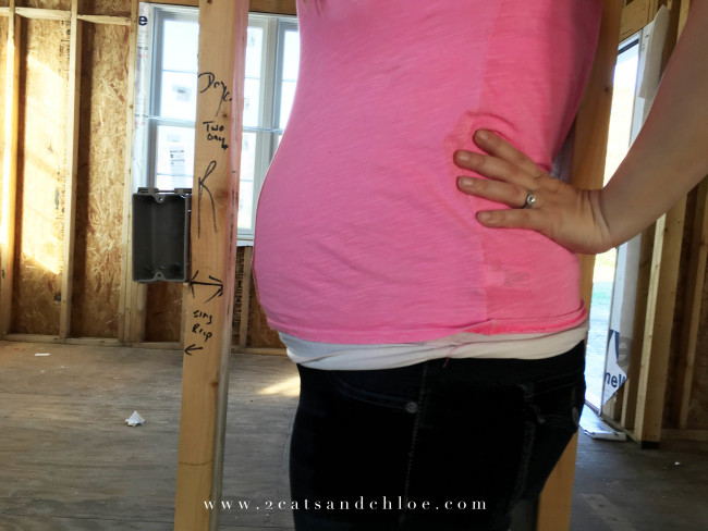 2 cats & chloe: 20 week baby bump