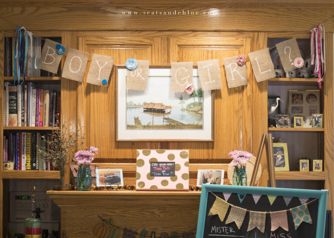 2 cats & chloe: Gender Reveal Banner - Boy or Girl Banner