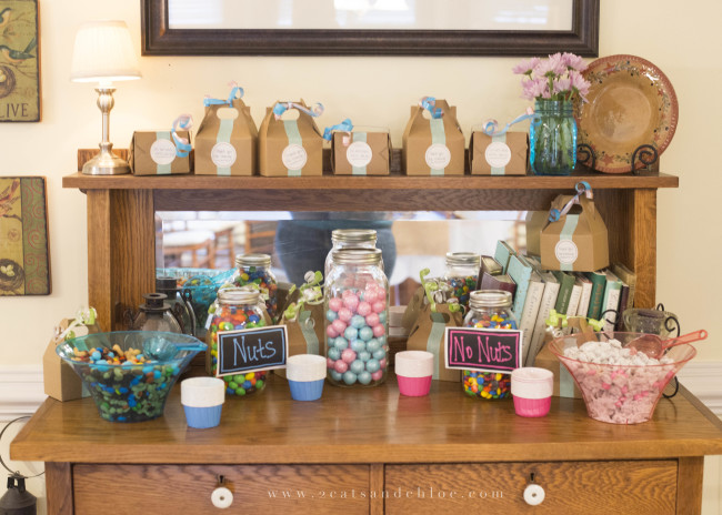 2 cats & chloe: Gender Reveal Candy Bar