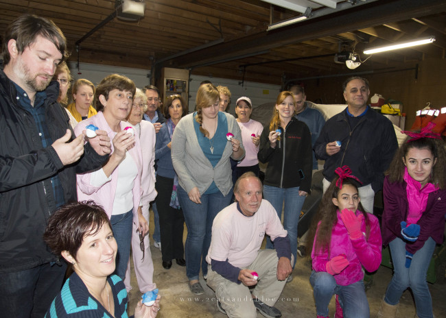 2 cats & chloe: Gender Reveal Paint Toss Reveal