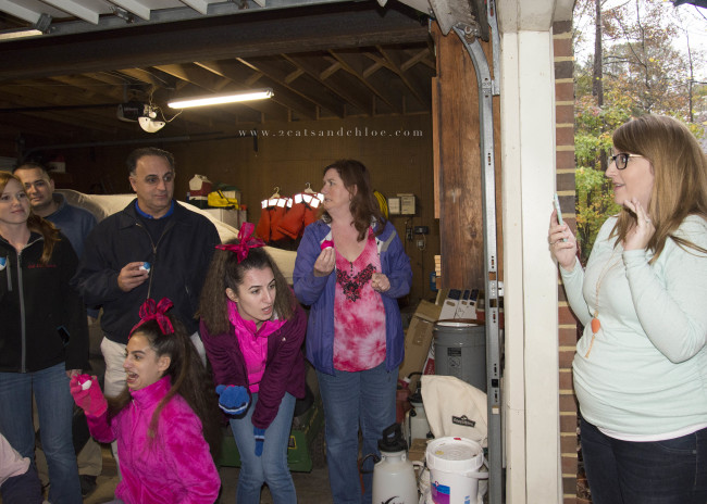 2 cats & chloe: Boy or Girl? Gender Reveal Party