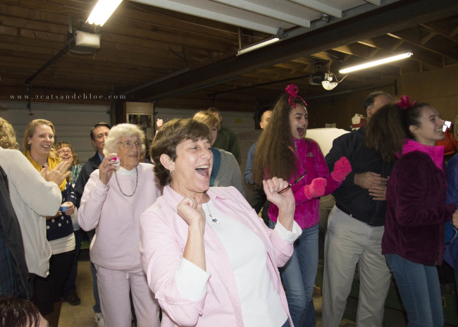 2 cats & chloe: Paint on Canvas Gender Reveal