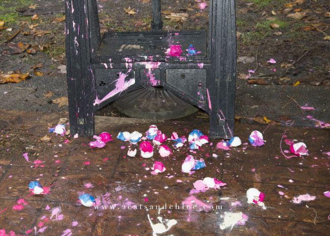 2 cats & chloe: Eggs filled with paint for gender reveal party