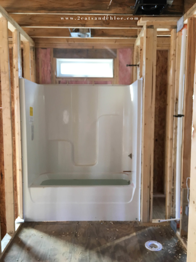 2 cats & chloe: Showers have been installed