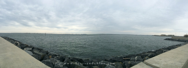 2 cats & chloe: Chesapeake Bay View from the Chamberlin, Hampton VA