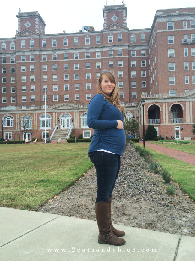 2 cats & chloe: 18 week bumpdate 