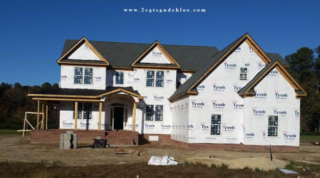 2 cats & chloe: Stages in home building